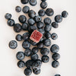 Load image into Gallery viewer, Maine Blueberry Gelées